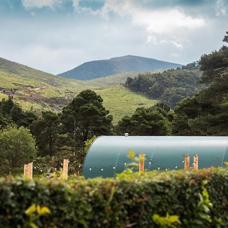 Further Space At Leitrim Lodge Luxury Glamping Pods Mourne Mountains Newcastle  Zewnętrze zdjęcie